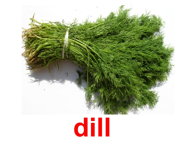 dill